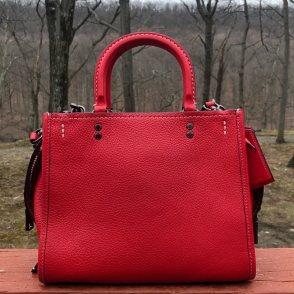 EUC Coach Rogue 25